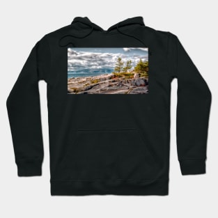 Schoodic Point Hoodie